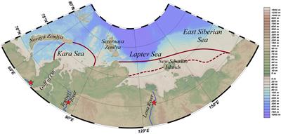 The roles of river discharge and sea ice melting in formation of freshened surface layers in the Kara, Laptev, and East Siberian seas